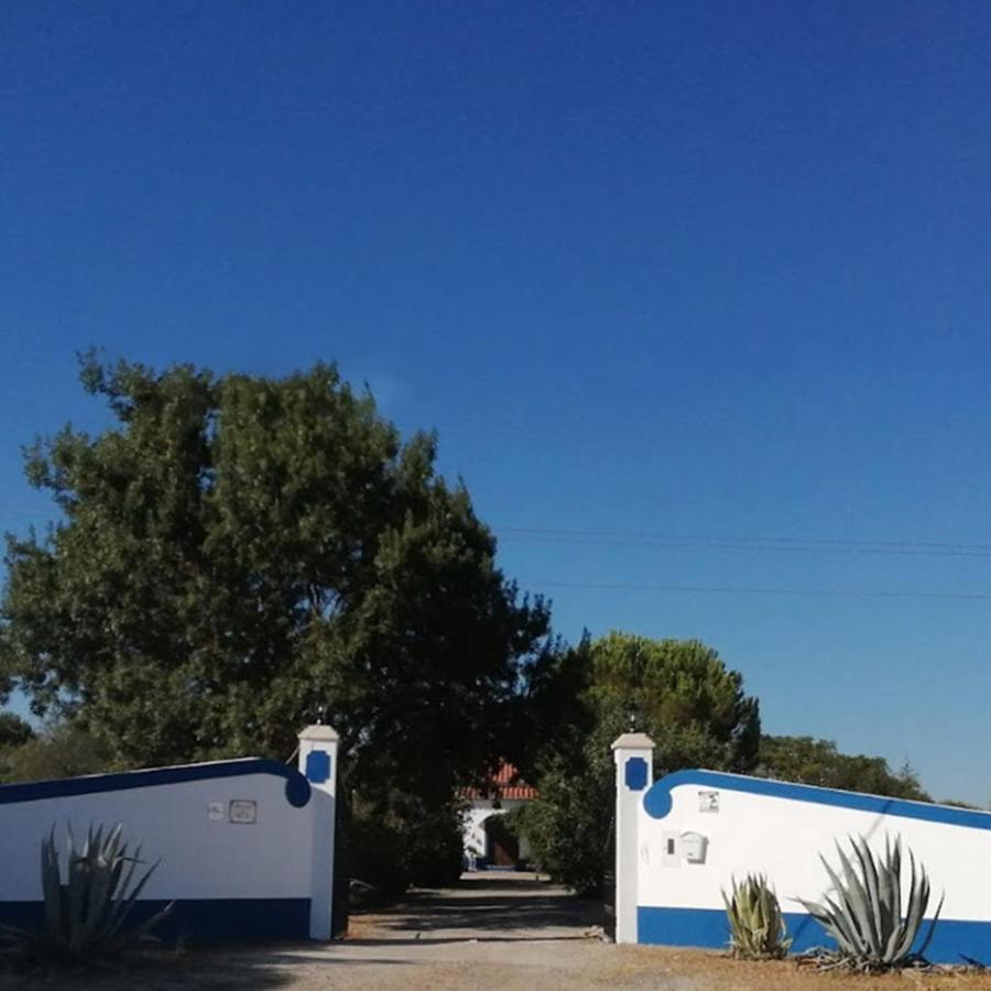 Bed and Breakfast Quinta Do Freixo Регенгуш-ди-Монсараш Экстерьер фото